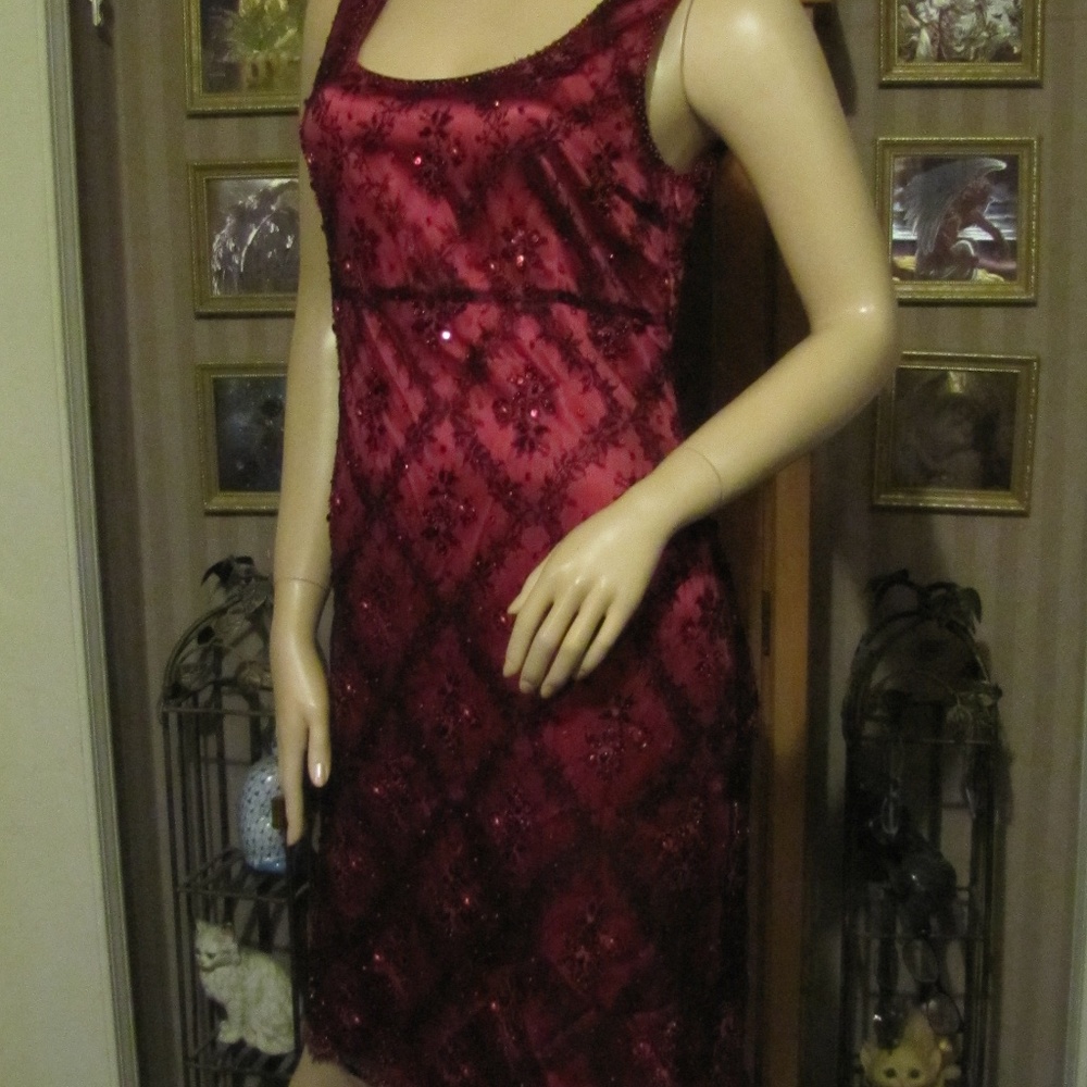VotreNom Garnet Silk Beaded Lace Dress sz 1 (sz 4) - Picture 3 of 8